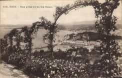 CPA Nice Vue prise entre les fleurs 