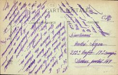 CPA Nice Vue prise entre les fleurs 