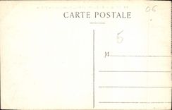 CPA Nice Le Jardin public Palmiers des Bebes 