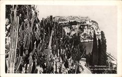 CPA Monaco Les Jardins Exotiques 