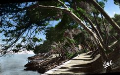 CPA Menton Carnoles La Promenade du Cap Martin 