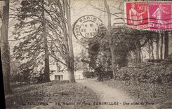 CPA Versailles Une allee du Parc 