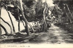 CPA Cap Martin Sous Bois 