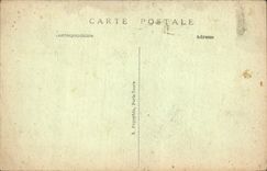 CPA Versailles Le Chateau cote du Parc Un Jour de Grandes eaux 