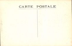 CPA Versailles L'Orangerie et le palais 