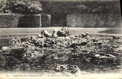 CPA Jardins de Versailles Le Bassin de l'Escalade 