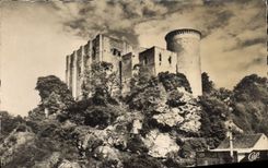 CPA Falaise vue d'ensemble du Chateau 