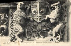 CPA Blois Detail de la Fontaine Louis XII Les Arenes de la Ville de Blois 