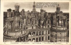 CPA Chambord le Chateau Les Combles Vue prise a vol d'Oiseau 