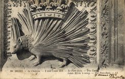 CPA Blois le Chateau L'Aile Louis XII Le Porc Epic 