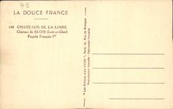CPA La Douce France Chateaux de la Loire Chateau de Blois Loir et Cher Facade Francois I 