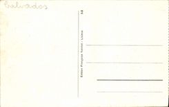 CPA Lisieux Vue partielle vers la Basilique 