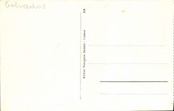 CPA Lisieux Jardin public Musee Cathedrale 