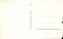 CPA Lisieux Vieilles maisons Rue au Char 