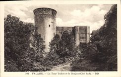 CPA Falaise La Tour Talbot et le Donjon Cote Sud 