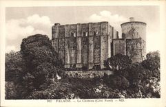 CPA Falaise Le Chateau Cote Nord 