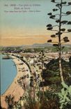 CPA Nice Vue prise du Chateau Aloes en fleurs 