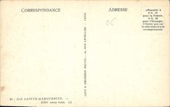 CPA Ile Sainte Marguerite Allee sous bois 