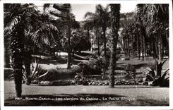 CPA Monte Carlo Les Jardins du Casino La Petite Afrique 