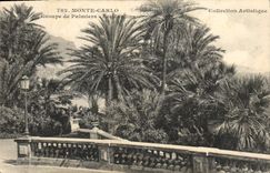 CPA Monte Carlo Groupe de Palmiers Les Jardins 