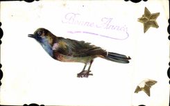 CPA Bonne Annee Oiseau