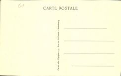 CPA Strasbourg Orangerie La Gaenseliesel L'Alsacienne a L'oie 