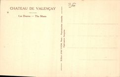 CPA Chateau de Valencay Les Douves 