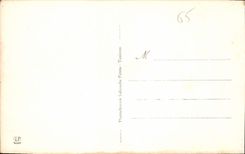 CPA Lourdes Vue Plongeante sur la Basilique 