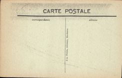 CPA Route de Pierrefitte Cauterets Le Limacon