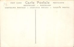 CPA Cathedrale de Chartres la Vierge du Pilier 