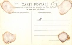 CPA Chartres Cathedrale 