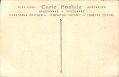 CPA Cathedrale de Chartres Detail du Porche du Portail nord 