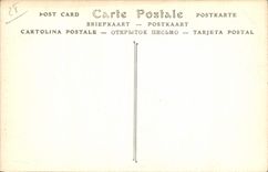 CPA Cathedrale de Chartres les Combles 