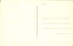 CPA Cathedrale de Chartres la Nef et le Choeur 