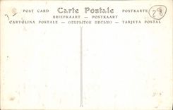 CPA Cathedrale de Chartres Pilastres du Portail Royal 