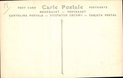 CPA Cathedrale de Chartres Boutants facade nord ouest 