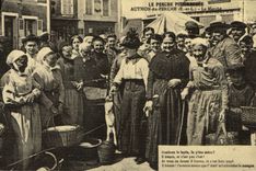 REPRO Le Perche pittoresque Authon du Perche E et L Le Marche 