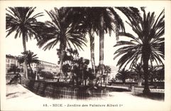 CPA Nice Jardins des Palmiers Albert Ier 