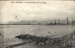 CPA Cannes Les Mouettes sur la Plage 