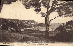 CPA Nice Entree du Port et Mont Boron 