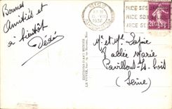 CPA Nice Jardin Albert Ier 