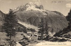 CPA Trelechamp et l'Aiguille Verte 