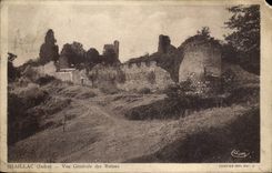 CPA Chaillac Indre vue generale des Ruines 