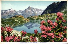 CPA le Grand Olan Lac Petarel Rhododendron 