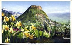 CPA Saint Eynard Jonquilles 