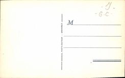 CPA Saint Eynard Jonquilles 