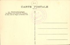 CPA Foret de Compiegne Vue generale de la Clairiere de l'Armistice Au fond l'abri du Wagon du Marech