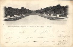 CPA Parc de Chateau de Compiegne l'Avenue des Beaux Monts 