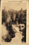 CPA Les plus Jolis Sites du Cantal Foret du Lioran et Gorges de l'Allignon 