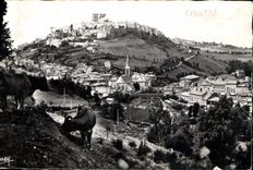 CPA St Flour Cantal Vue generale Vaches